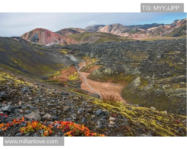 雷法山口与岗山的对决探秘山脉之美与自然奇观的碰撞